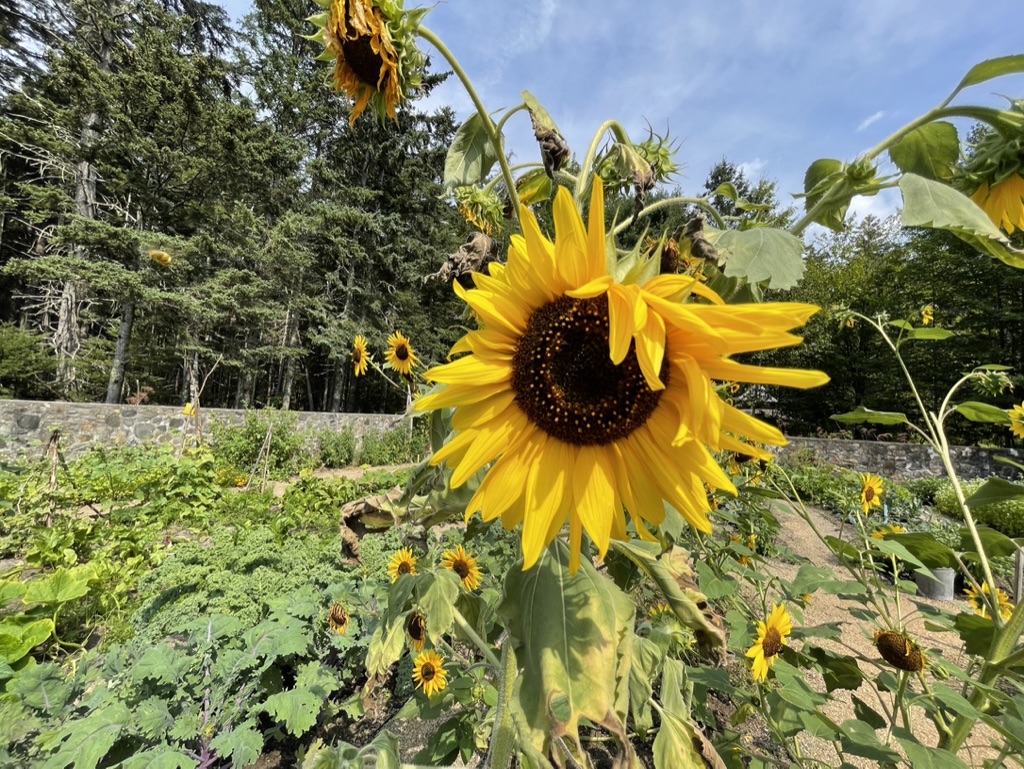 CB59181E-9EF9-4502-89DC-199756CF11BF_1_105_c