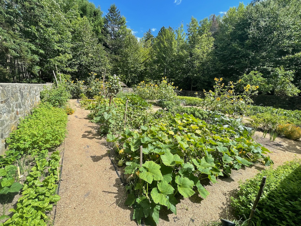 Good Life Center - 48