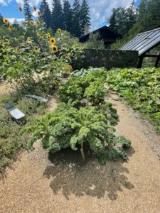 Good Life Center - 49