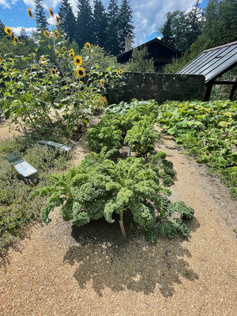 Good Life Center - 49