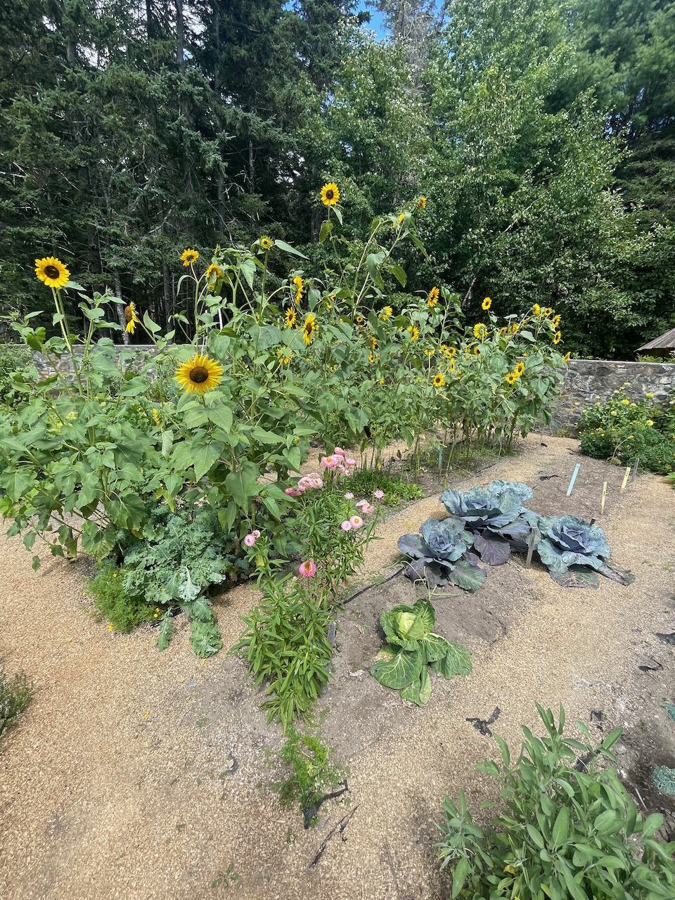 Good Life Center - 50