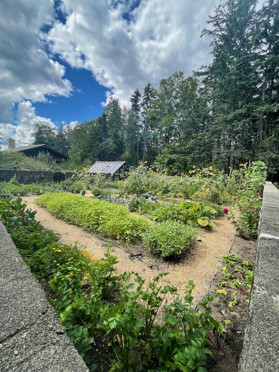 Good Life Center - 51