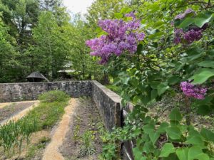 Good-Life-Center-horizontal-slideshow-8