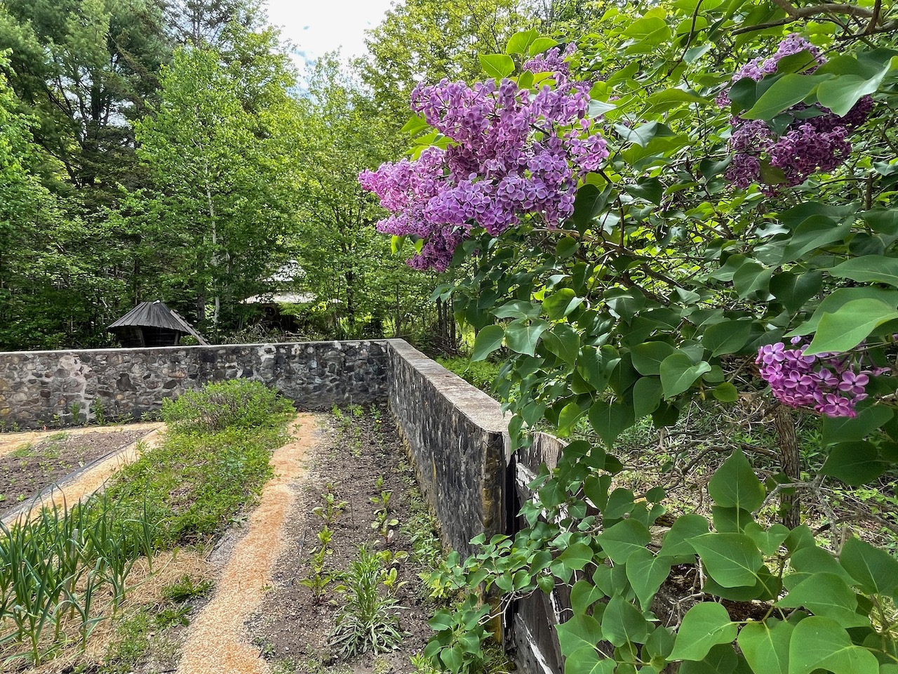 Good-Life-Center-horizontal-slideshow-8